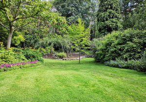 Optimiser l'expérience du jardin à Boisseron